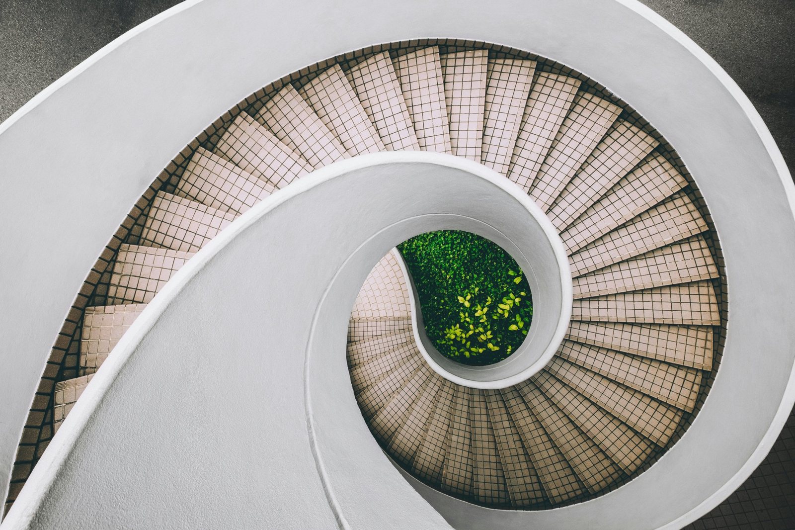 A white spiral staircase seen from above, winding down to green leaves at its center